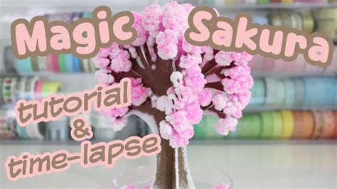From Buds to Blossoms: Understanding the Life Cycle of the Magic Sakura Tree
